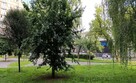 Kawalerka na Targówku - 8