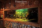 Karczma Smaku | Gotowy Biznes nad jeziorem - 8