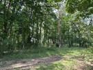 Dziaka w lesie nad jeziorem - Tuczno - 6