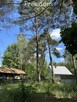 Dziaka w lesie nad jeziorem - Tuczno - 7
