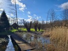 Piękna działka nad jeziorem w Choszcznie - 4
