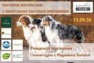Szkolenie dla groomerów z Sędzią Międzynarodowym - OWCZARKI