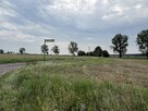 Działka w Grodnie pod zabudowę jednorodzinną - 7