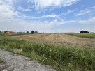 Działka w Grodnie pod zabudowę jednorodzinną - 12