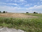 Działka w Grodnie pod zabudowę jednorodzinną - 14