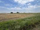 Działka w Grodnie pod zabudowę jednorodzinną - 15