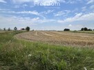 Działka w Grodnie pod zabudowę jednorodzinną - 16
