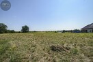 Działka budowlana Wilków gm. Świdnica - 2