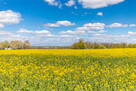 Działka budowlana Strzyżewice, - 3