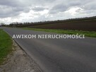Działka siedliskowa Brwinów - 3