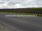 Działka siedliskowa Brwinów - 4