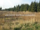 Działka rolna Mszczonów Szeligi - 2