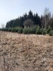 Działka usługowa Powązki gm. Mszczonów - 3