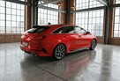 Kia Pro Cee'd Bezwypadkowy serwis rok gwarancji - 8