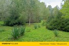 Działka z domkiem WZ Kierwiny - 7