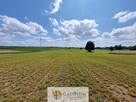 Przepiękny teren pod siedlisko | Leśno, gm. Brusy - 3
