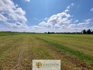 Przepiękny teren pod siedlisko | Leśno, gm. Brusy - 12