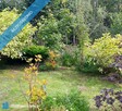 Odstąpię prawo do użytkowania działki ogrodowej o pow.294 m2 na obszarze ROD SAHARA - 3