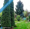 Odstąpię prawo do użytkowania działki ogrodowej o pow.294 m2 na obszarze ROD SAHARA - 10