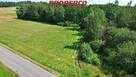 Działka Lechów gm. Bieliny - 1