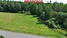 Działka Lechów gm. Bieliny - 2