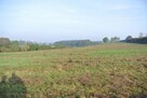 Działka usługowa Sobków