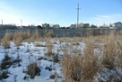 Działka budowlana Domaszowice gm. Masłów