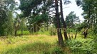 Działka nad morzem - 9