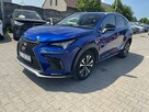 NX 300 FSport Edition AWD Podgrzewanie Skóra - 3