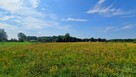 Działka rolna Borsukówka gm. Dobrzyniewo Duże, - 4