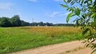 Działka rolna Borsukówka gm. Dobrzyniewo Duże, - 6