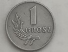 Moneta PRL 1 grosz 1949 - destruk