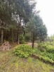 Dom wolnostojący na działce 3000 m2. - 14