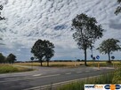 Działka przy DK 61 blisko Narwi 35 km od Warszawy - 3