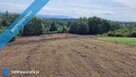 Raciborsko/ Wieliczka, prywatnie,19a ( oraz13 i 14a) południowy stok , cena 10,000/ ar - 2