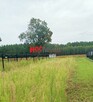 Działka budowlana Wola Kiełpińska gm. Serock Szadki - 3