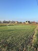 Działka budowlana Stasiówka gm. Łomazy, Stasiówka - 1