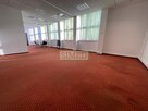Całe piętro,klimatyzacja,dostęp24h,wys.3m - 11