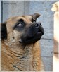 Bandi – na nic nie czeka, nic nie możemy mu dać - 6
