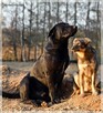 Sancho – szuka prawdziwej rodziny, takiej już na zawsze - 2