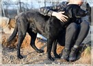 Sancho – szuka prawdziwej rodziny, takiej już na zawsze - 4