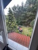 Dom wolnostojący na działce 3000 m2. - 12