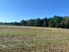 Działka budowlana Tarnowskie Góry Rybna - 6