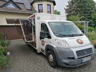 Fiat Ducato Autosklep wędli Gastronomiczny Food Truck Foodtruck Sklep 68tkm 2012 - 3