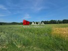 Działka rolno-budowlana Wierzbna gm. Żarów, Wierzbna - 2