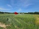 Działka rolno-budowlana Wierzbna gm. Żarów, Wierzbna - 3