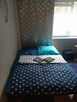 Apartament dla Ciebie - 1