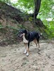 Roxi poszukuje swojego człowieka - 3