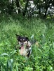 Roxi poszukuje swojego człowieka - 4