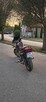 Yamaha XJ 600S 95r - 2